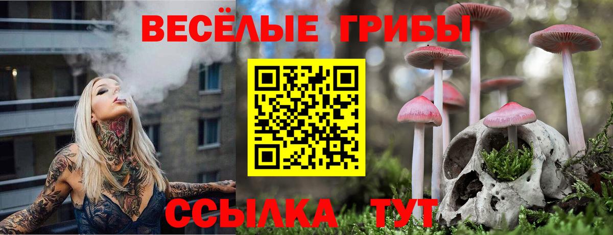 Галлюциногенные грибы Psilocybe Черкесск