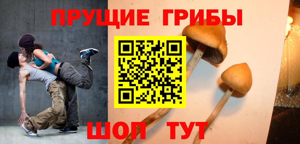 Черкесск  Галлюциногенные грибы Psilocybe  Псилоцибиновые грибы мухоморы  Вход с VPN 